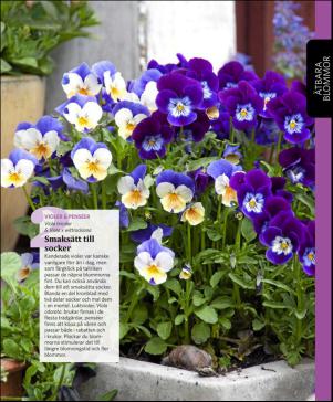 magbook-20160302_000_00_00_119.pdf