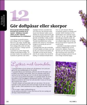magbook-20160302_000_00_00_124.pdf