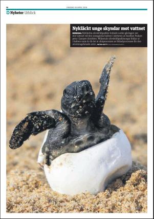 metro_go-20180418_000_00_00_014.pdf