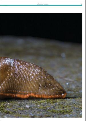 metro_go-20180604_000_00_00_011.pdf