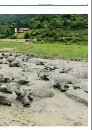 metro_go-20180904_000_00_00_011.pdf