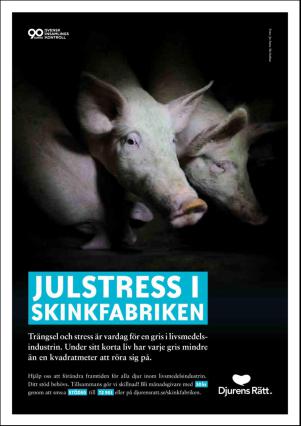 metro_st-20151211_000_00_00_009.pdf