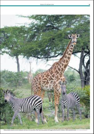 metro_st-20180109_000_00_00_011.pdf