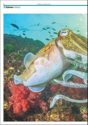 metro_st-20180131_000_00_00_010.pdf