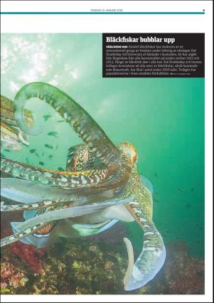 metro_st-20180131_000_00_00_011.pdf