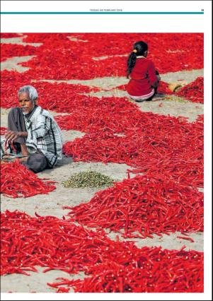 metro_st-20180206_000_00_00_011.pdf