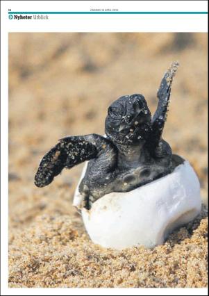 metro_st-20180418_000_00_00_014.pdf