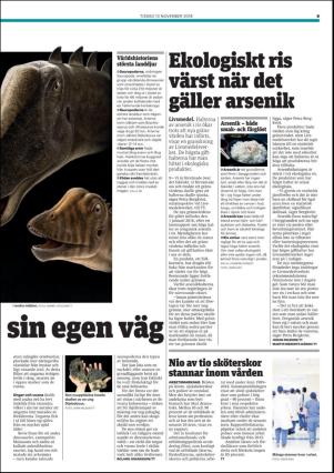 metro_st-20181113_000_00_00_009.pdf