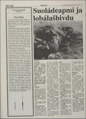 minaigi-19931215_000_00_00_003.pdf