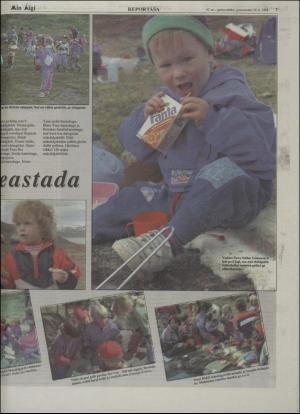 minaigi-19940629_000_00_00_007.pdf