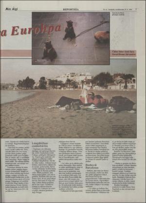 minaigi-19940729_000_00_00_007.pdf