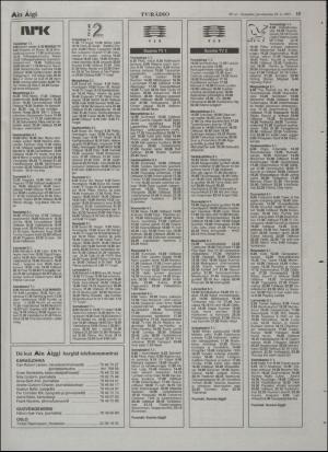 minaigi-19951229_000_00_00_015.pdf