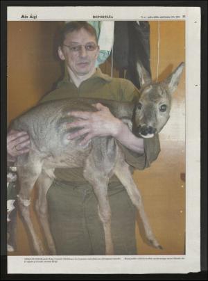 minaigi-20040310_000_00_00_013.pdf