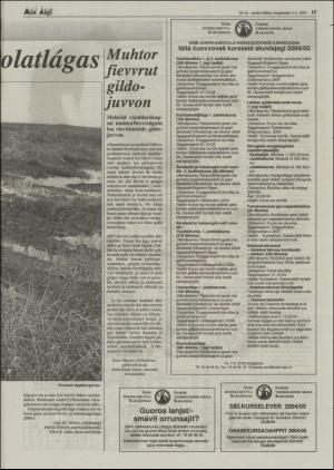 minaigi-20040806_000_00_00_015.pdf