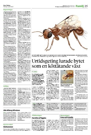 moratidning-20250407_000_00_00_025.pdf