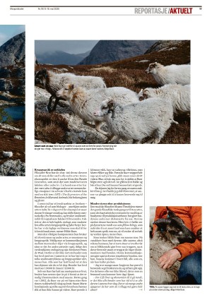 morgenbladet-20250509_000_00_00_017.pdf