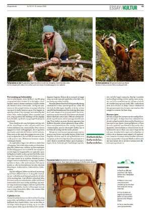morgenbladet-20251010_000_00_00_043.pdf
