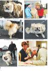 mossdagblad-20080307_000_00_00_024.pdf
