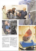 mossdagblad-20080425_000_00_00_029.pdf