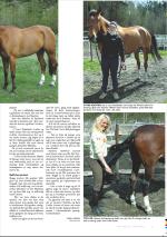 mossdagblad-20080509_000_00_00_029.pdf