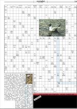 mossdagblad-20080704_000_00_00_023.pdf