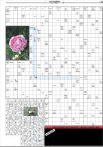 mossdagblad-20080711_000_00_00_019.pdf