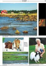 mossdagblad-20080801_000_00_00_019.pdf