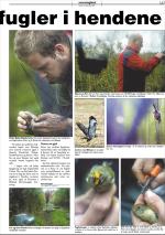 mossdagblad-20080912_000_00_00_027.pdf