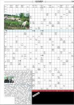 mossdagblad-20081010_000_00_00_023.pdf