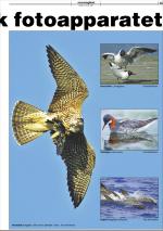 mossdagblad-20081015_000_00_00_015.pdf