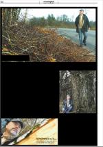 mossdagblad-20081119_000_00_00_010.pdf