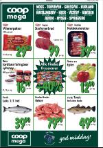 mossdagblad-20090116_000_00_00_034.pdf