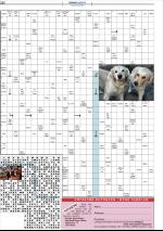 mossdagblad-20090130_000_00_00_028.pdf