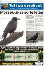 mossdagblad-20090206_000_00_00_012.pdf