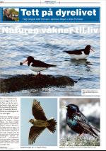 mossdagblad-20090313_000_00_00_034.pdf