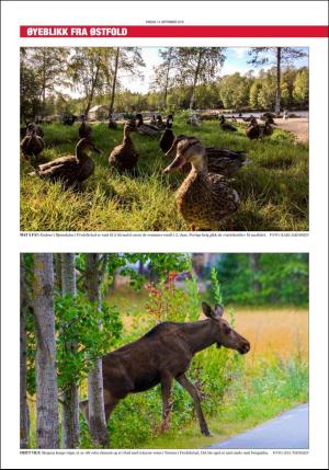 mossdagblad-20180914_000_00_00_034.pdf