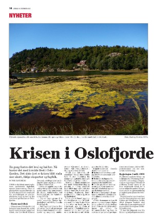 mossdagblad-20201219_000_00_00_014.pdf