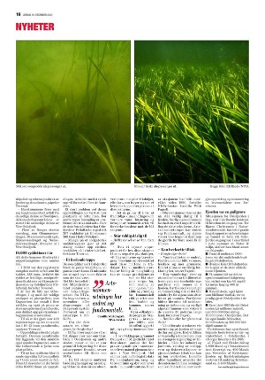 mossdagblad-20201219_000_00_00_016.pdf