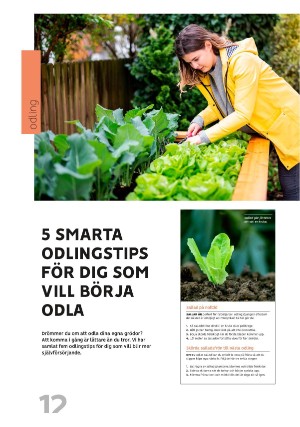 motalavadstenatidning_om-20250415_000_00_00_012.pdf
