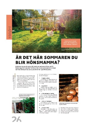 motalavadstenatidning_om-20250415_000_00_00_026.pdf