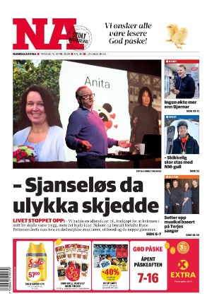 Namdalsavisa 15.04.25