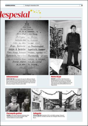 namdalsavisa_bilag-20141224_000_00_00_033.pdf