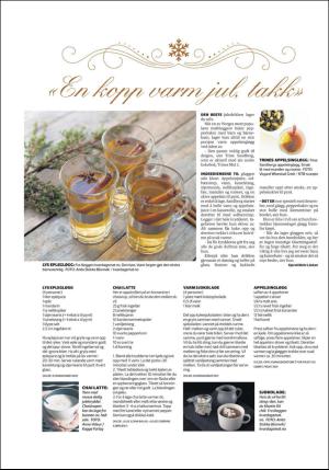 namdalsavisa_bilag-20151125_000_00_00_020.pdf