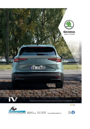 namdalsavisa_bilag-20210317_000_00_00_023.pdf