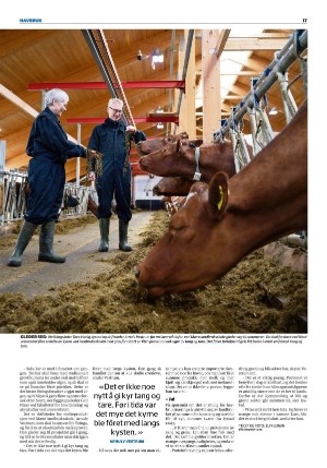 namdalsavisa_bilag-20210414_000_00_00_017.pdf