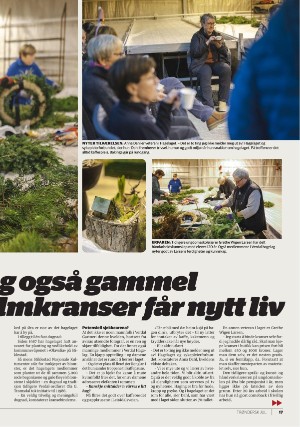 namdalsavisa_bilag-20241205_000_00_00_017.pdf