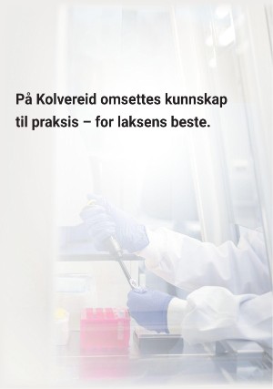 namdalsavisa_bilag-20241205_000_00_00_030.pdf