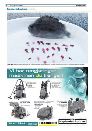 namdalsavisa_seksjon-20161014_000_00_00_030.pdf