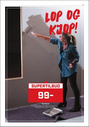 namdalsavisa_seksjon-20170222_000_00_00_009.pdf