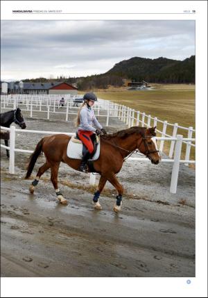 namdalsavisa_seksjon-20170324_000_00_00_013.pdf